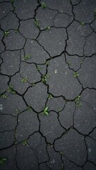 Obraz premium Cracked asphalt road with weeds urban grit