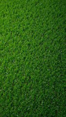 Obraz premium Vibrant green artificial turf field with short even blades for a pristine look