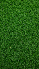 Obraz premium Vibrant green artificial turf field with short even blades for a pristine look