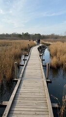 Naklejka premium Tranquil boardwalk over marsh with birds and visitors