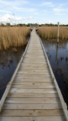 Tranquil boardwalk over marsh with birds and visitors