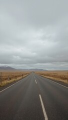 Fototapeta premium Endless road across open plain under cloudy sky