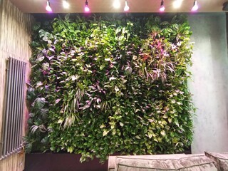 flowers on the wall. A green wall of live plants with automatic watering.