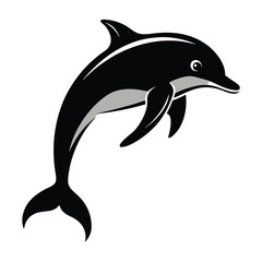 dolphin isolated on white background