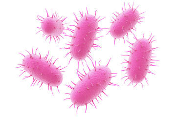 Close-up of vibrant pink bacteria with hair-like structures, illustrating microbial life and its unique forms under a microscope.