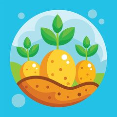 Three potato plants sprout from the ground.