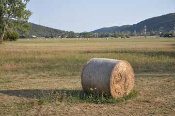 Baled dry hay in a field in Grobnik near the city of Rijeka in Croatia.Straw field with round dry hay bales in front of mountain range.