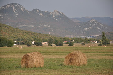 Baled dry hay in a field in Grobnik near the city of Rijeka in Croatia.Straw field with round dry hay bales in front of mountain range.