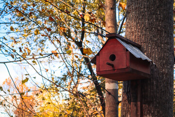 bird house on tree