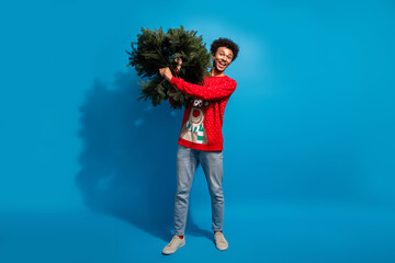 Full body photo of attractive young man hold carry christmas tree dressed red sweater theme party on blue color background