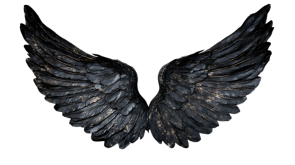 Black angel wings on white background