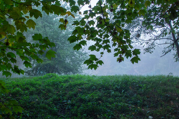 Autumn in Moldova, foggy landscape in the park. Thick fog early in the morning on the lake shore.