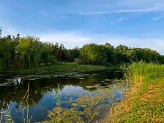 Obraz premium Backwater of Tisza river near Szeged