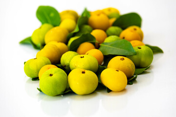 Ripe edible wild fruit from the Brazilian cerrado biome, fruit known as cagaita (Stenocalyx dysentericus) of the Magnoliopsida class and the Myrtaceae family.