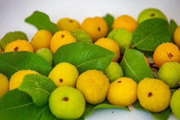 Ripe edible wild fruit from the Brazilian cerrado biome, fruit known as cagaita (Stenocalyx dysentericus) of the Magnoliopsida class and the Myrtaceae family.