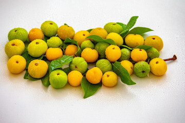 Ripe edible wild fruit from the Brazilian cerrado biome, fruit known as cagaita (Stenocalyx dysentericus) of the Magnoliopsida class and the Myrtaceae family.