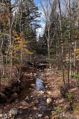 Wooden bridge over a stream in the woods in the fall.