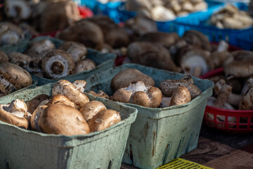 Closeup of a basket of mushrooms at a farmer's market