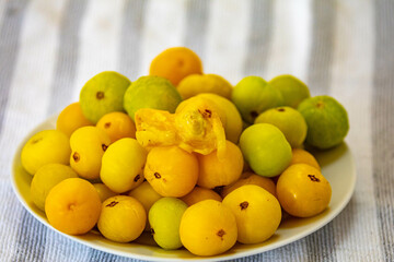 Ripe edible wild fruit from the Brazilian cerrado biome, fruit known as cagaita (Stenocalyx dysentericus) of the Magnoliopsida class and the Myrtaceae family.