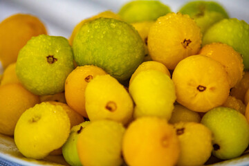Ripe edible wild fruit from the Brazilian cerrado biome, fruit known as cagaita (Stenocalyx dysentericus) of the Magnoliopsida class and the Myrtaceae family.