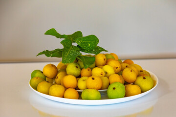 Ripe edible wild fruit from the Brazilian cerrado biome, fruit known as cagaita (Stenocalyx dysentericus) of the Magnoliopsida class and the Myrtaceae family.