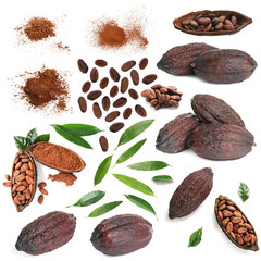 Cocoa powder, pods, beans and green leaves isolated on white