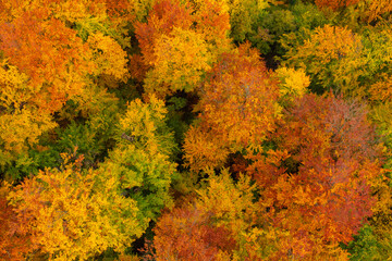 Aerial top down view about autumn colored trees at Lillafured, Hungary.