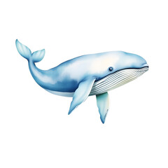 watercolor style illustration of beautiful whale, high detailed, isolated on white. Generative AI