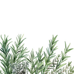 Watercolor Green Greenery Border