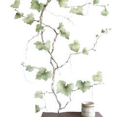 Watercolor Painting of a Vine Branch with Green Leaves