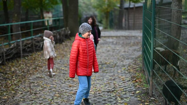 A family of a mother and three children visiting a zoo in autumn. The boy is wearing a red jacket and the girls are wearing hats. They are looking at animals behind a fence.