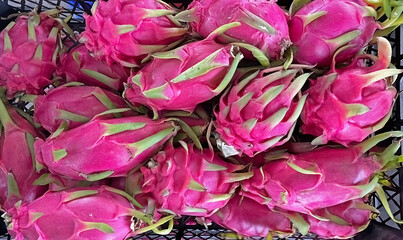 Pitayas in market. Group of exotic tropical fruits