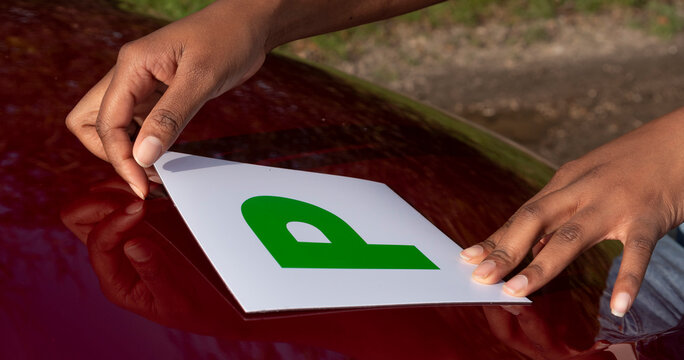 Hampshire England UK. 27.10.2024. Advisory gree P plate being positioned on car bonnet. Test pass withinn one year, a new driver.
