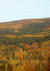 Fototapeta premium autumn in the mountains