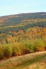 Fototapeta premium autumn in the mountains