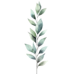 Obraz premium Watercolor Green Leaves Branch Illustration