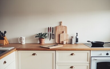 Minimalist kitchen counter with wooden cutting boards, knives, and a plant.