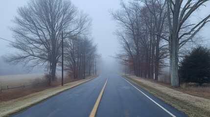 Fototapeta premium Foggy Roadway Through a Winter Landscape with Tree Lined Sides