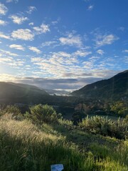 Naklejka premium landscape with sky