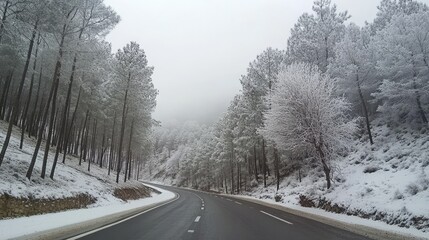 Serene Winter Landscape with Snow-Covered Trees and Foggy Road
