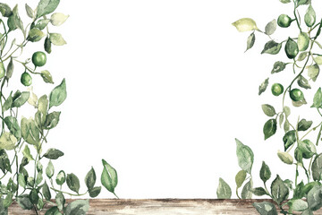 Naklejka premium A botanical illustration featuring green leaves and limes, creating a natural frame around a white background perfect for presentations or invitations.
