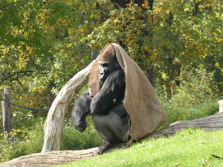 Zoo, nature, animals, family hollidays