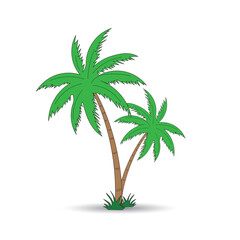 Obraz premium palm tree isolated on white background , Design of palm trees for education poster vector illustration