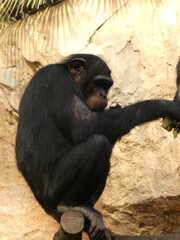 Zoo, nature, animals, family hollidays