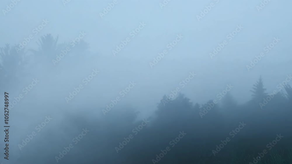 Aufkleber Dense fog slowly moves over a forest, creating an eerie and mysterious atmosphere. The silhouettes of the trees are barely visible, adding to the surreal and dreamlike quality of the scene