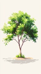 Obraz premium A single, green tree with brown branches and a shadow on a white background.