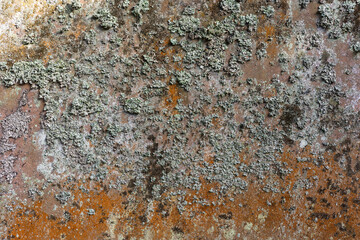 Green and yellow moss and lichen covered grave tomb stone texture