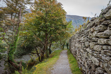 Inchibeg, Ireland - September 9 2024 