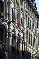 Colonial historic residential stone architecture with flowers and vines on window sill on sunny day