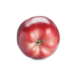 One fresh red apple isolated on white